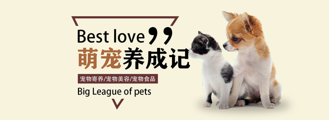 比亚迪更新